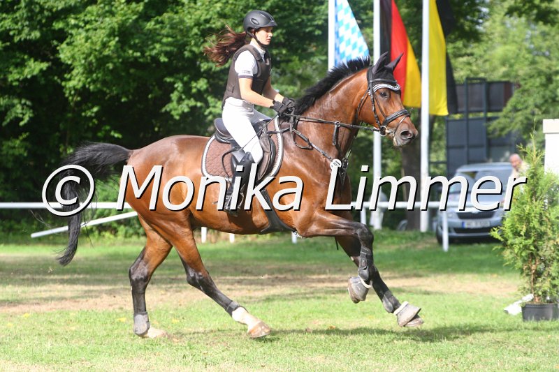 308M4598_Punkte Mxx.JPG